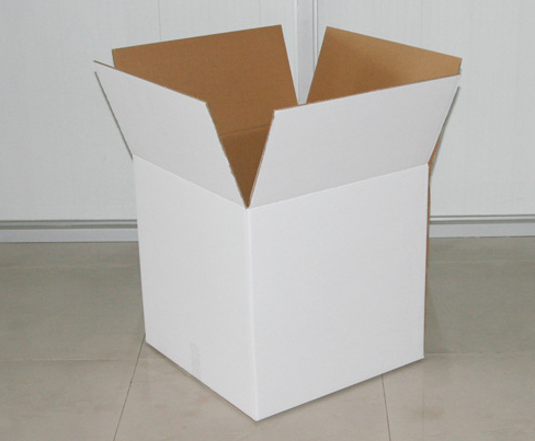 �����ɫţƤֽ��